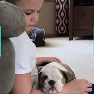 Meet your Posher, Desarae